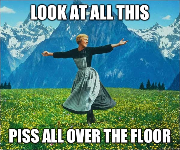 look at all this Piss all over the floor - look at all this Piss all over the floor  Sound of Music