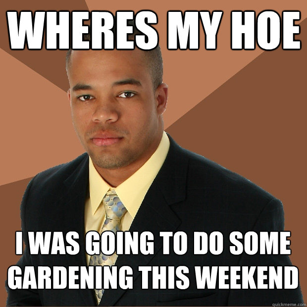 Wheres my hoe i was going to do some gardening this weekend  Successful Black Man