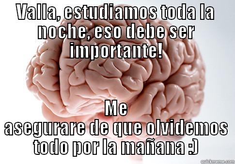 VALLA, ESTUDIAMOS TODA LA NOCHE, ESO DEBE SER IMPORTANTE! ME ASEGURARE DE QUE OLVIDEMOS TODO POR LA MAÑANA :) Scumbag Brain