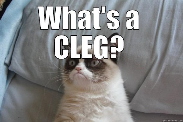 AU Meme - WHAT'S A CLEG?  Grumpy Cat