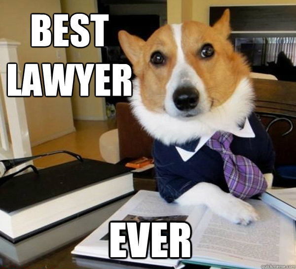 Best
lawyer ever  Lawyer Dog