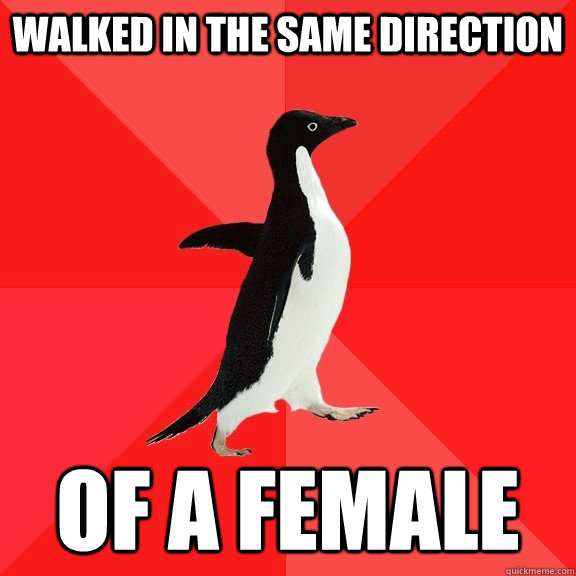 Walked in the same direction of a female  Socially Awesome Penguin