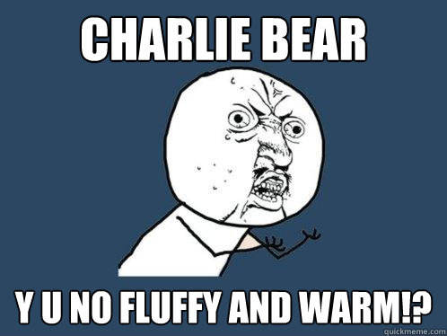 Charlie bear y u no fluffy and warm!?  Y U No