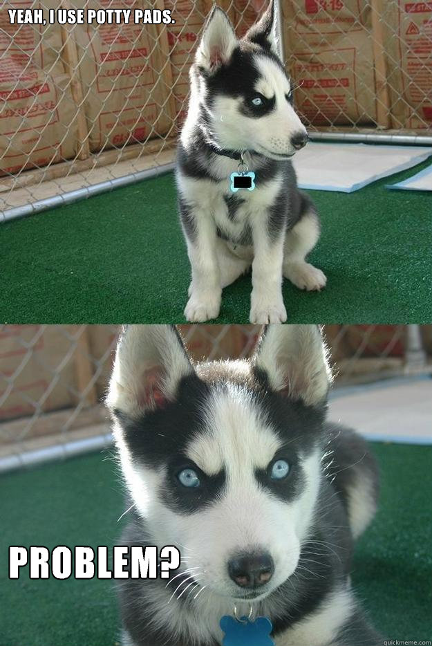 yeah, i use potty pads. problem?  Insanity puppy