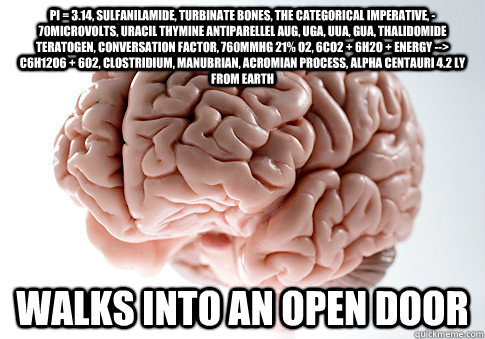 PI = 3.14, Sulfanilamide, Turbinate bones, the categorical imperative, -70microvolts, uracil thymine antiparellel AUG, UGA, UUA, GUA, thalidomide teratogen, conversation factor, 760mmHg 21% O2, 6CO2 + 6H2O + Energy --> C6H12O6 + 6O2, Clostridium, Manubria  Scumbag Brain