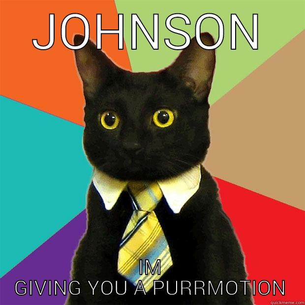 JOHNSON IM GIVING YOU A PURRMOTION Business Cat