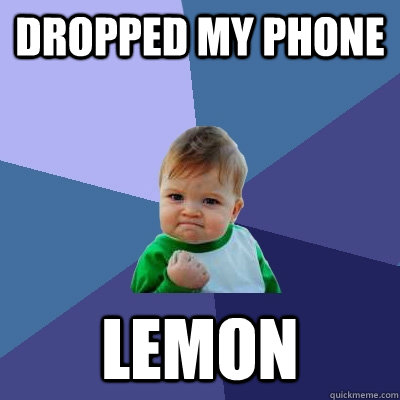 Dropped my phone lemon - Dropped my phone lemon  Success Kid