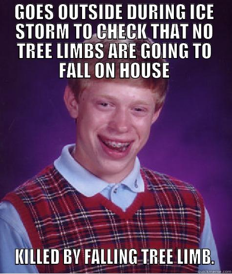 GOES OUTSIDE DURING ICE STORM TO CHECK THAT NO TREE LIMBS ARE GOING TO FALL ON HOUSE  KILLED BY FALLING TREE LIMB.  Bad Luck Brian
