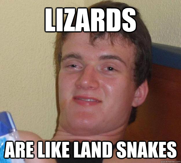 Lizards  are like land snakes - Lizards  are like land snakes  10 Guy