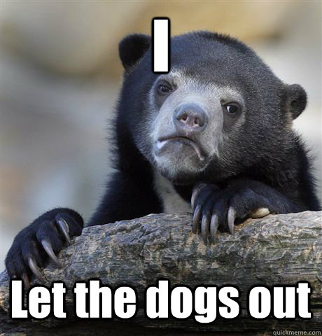 I Let the dogs out  Confession Bear