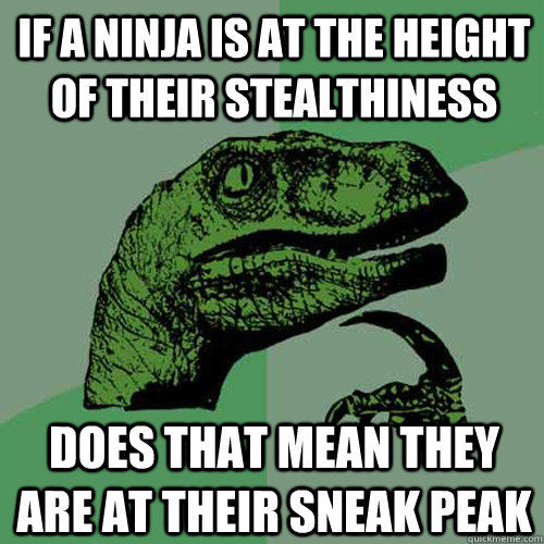 If a ninja is at the height of their stealthiness Does that mean they are at their sneak peak  Philosoraptor