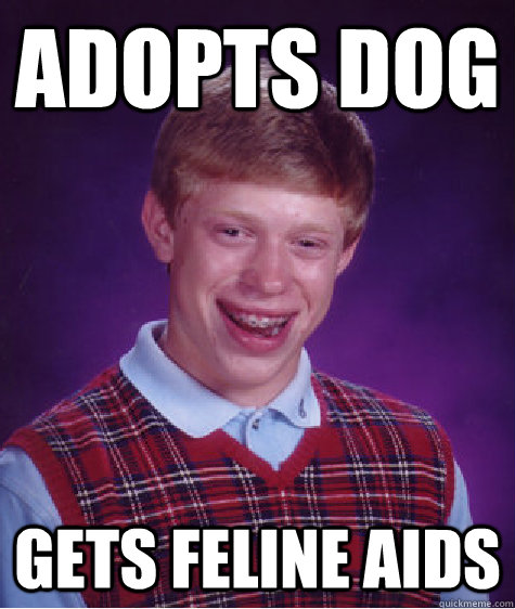 Adopts dog Gets feline aids  Bad Luck Brian