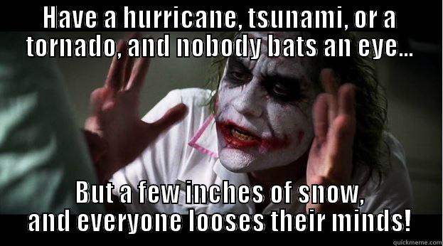 HAVE A HURRICANE, TSUNAMI, OR A TORNADO, AND NOBODY BATS AN EYE... BUT A FEW INCHES OF SNOW, AND EVERYONE LOOSES THEIR MINDS! Joker Mind Loss