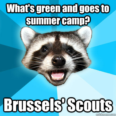 What's green and goes to summer camp? Brussels' Scouts  Lame Pun Coon