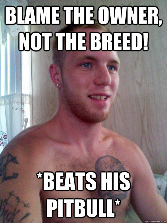 blame the owner, not the breed! *beats his pitbull* - blame the owner, not the breed! *beats his pitbull*  Pillhead Pete