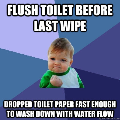 flush toilet before last wipe dropped toilet paper fast enough to wash down with water flow  Success Kid