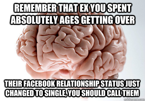 Remember that ex you spent absolutely ages getting over Their Facebook relationship status just changed to single, you should call them - Remember that ex you spent absolutely ages getting over Their Facebook relationship status just changed to single, you should call them  Scumbag Brain