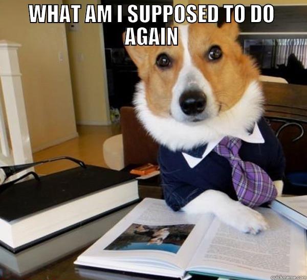 WHAT AM I SUPPOSED TO DO AGAIN  Lawyer Dog