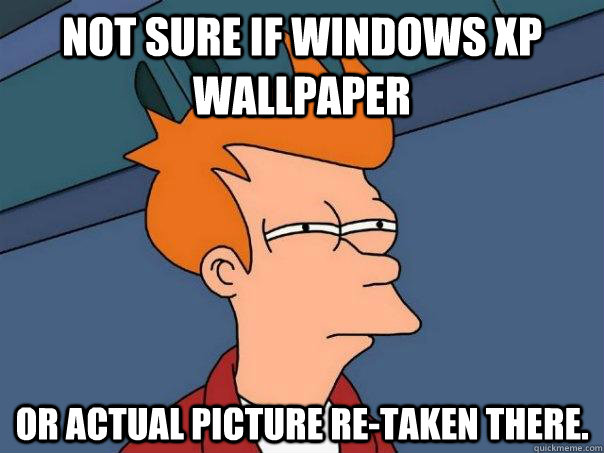 Not sure if Windows XP wallpaper Or actual picture re-taken there.  Futurama Fry