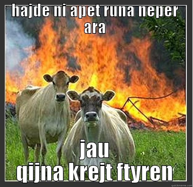 HAJDE NI APET RUNA NEPER ARA JAU QIJNA KREJT FTYREN Evil cows