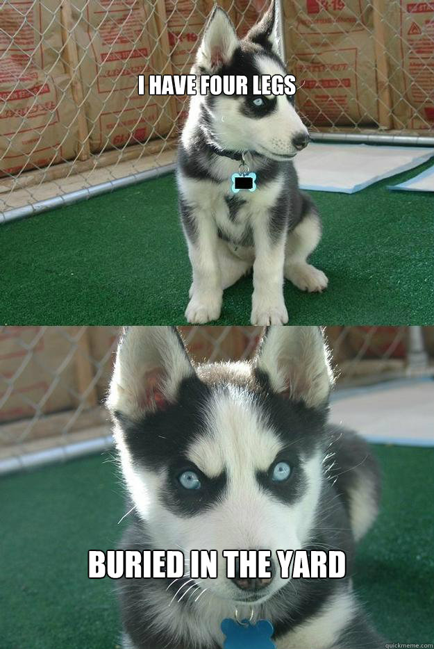 I have four legs buried in the yard  Insanity puppy