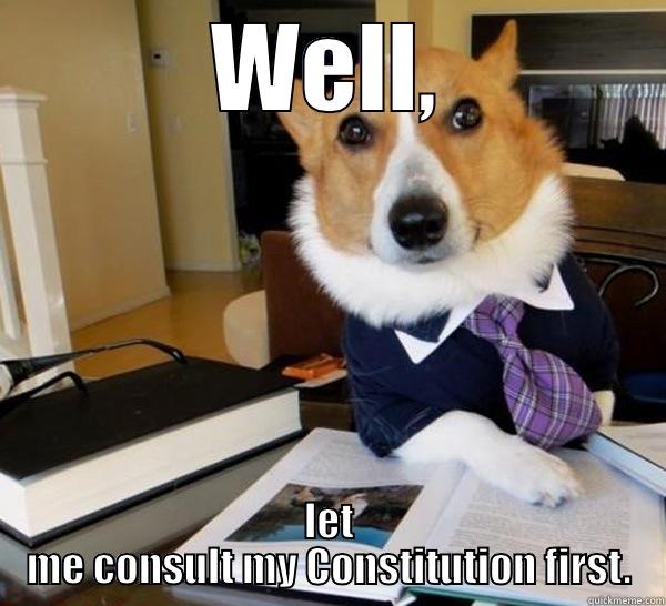 WELL, LET ME CONSULT MY CONSTITUTION FIRST. Lawyer Dog