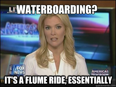 Waterboarding? It's a flume ride, essentially  Megyn Kelly