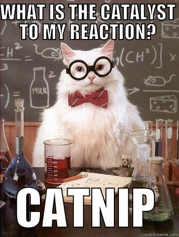 WHAT IS THE CATALYST TO MY REACTION? CATNIP Chemistry Cat