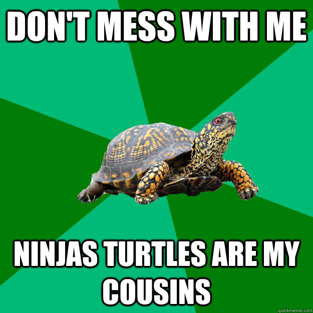 don't mess with me ninjas turtles are my cousins - don't mess with me ninjas turtles are my cousins  Torrenting Turtle