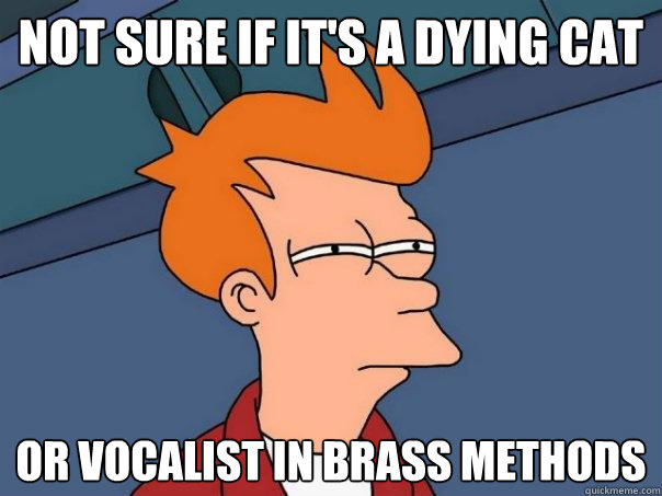 not sure if it's a dying cat or vocalist in brass methods  Futurama Fry