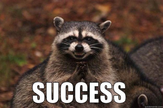 THIS IS SUCCESS -  SUCCESS Evil Plotting Raccoon