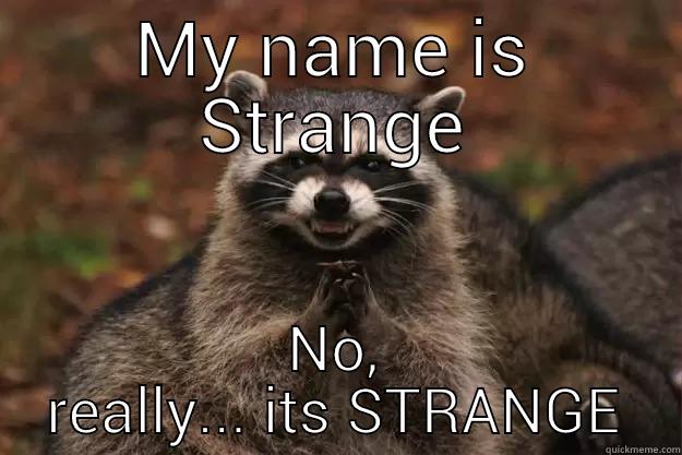 MY NAME IS STRANGE NO, REALLY... ITS STRANGE Evil Plotting Raccoon