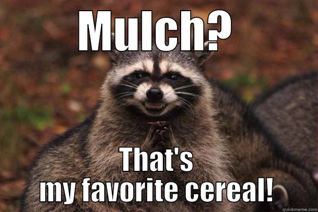 Mulch Coon - MULCH? THAT'S MY FAVORITE CEREAL! Evil Plotting Raccoon