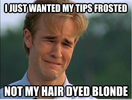 I just wanted my tips frosted Not my hair dyed blonde  1990s Problems