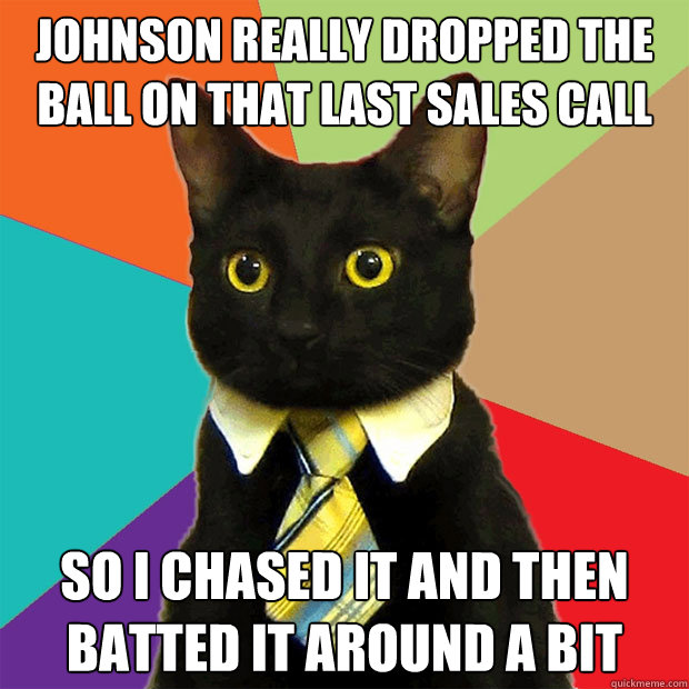 Johnson really dropped the ball on that last sales call So I chased it and then batted it around a bit  Business Cat