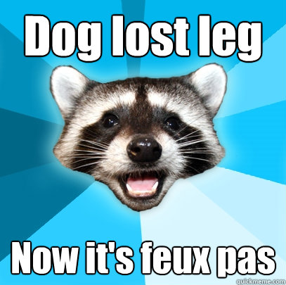 Dog lost leg Now it's feux pas  Lame Pun Coon