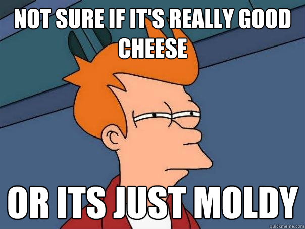 Not sure if it's really good cheese or its just moldy - Not sure if it's really good cheese or its just moldy  Futurama Fry