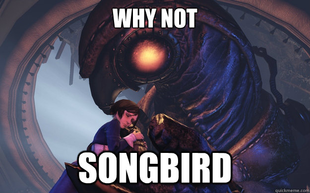 Why Not Songbird - Why Not Songbird  Misc