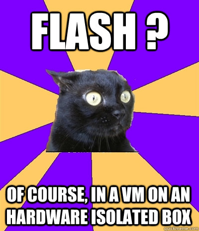 Flash ? Of course, in a vm on an hardware isolated box  Anxiety Cat