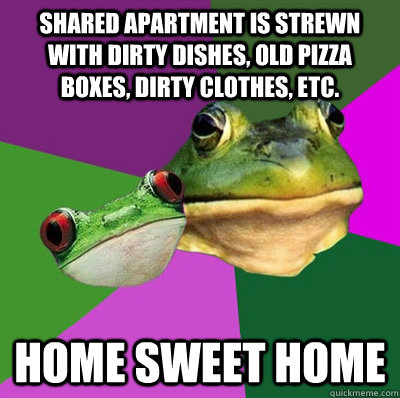 shared apartment is strewn with dirty dishes, old pizza boxes, dirty clothes, etc. home sweet home - shared apartment is strewn with dirty dishes, old pizza boxes, dirty clothes, etc. home sweet home  Foul Frog Couple