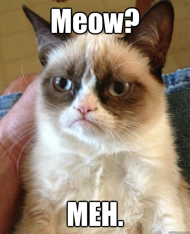 Meow? MEH.  Grumpy Cat is so sick of this shit