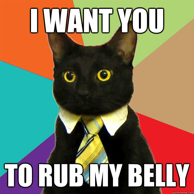 I want you to rub my belly  Business Cat