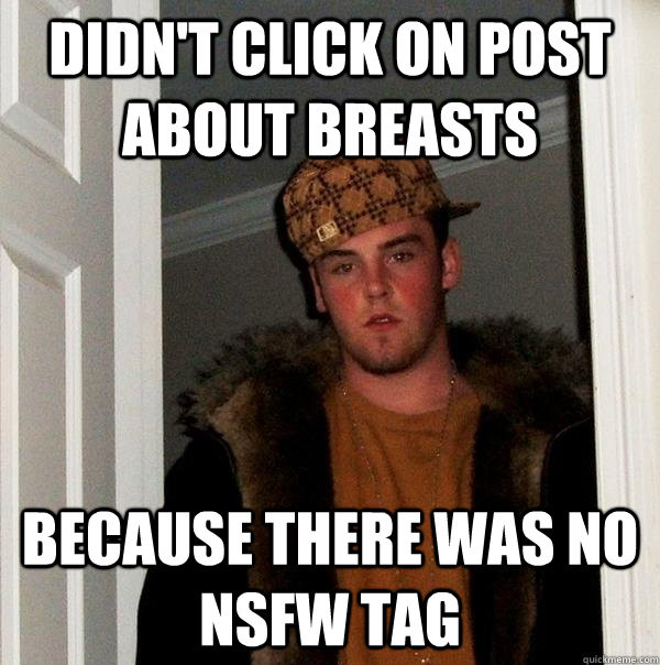 Didn't Click on post about breasts Because there was no NSFW tag  Scumbag Steve