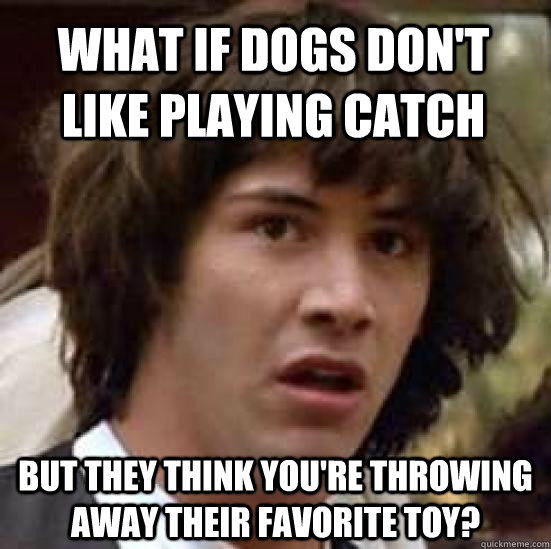 what if dogs don't like playing catch but they think you're throwing away their favorite toy?  conspiracy keanu