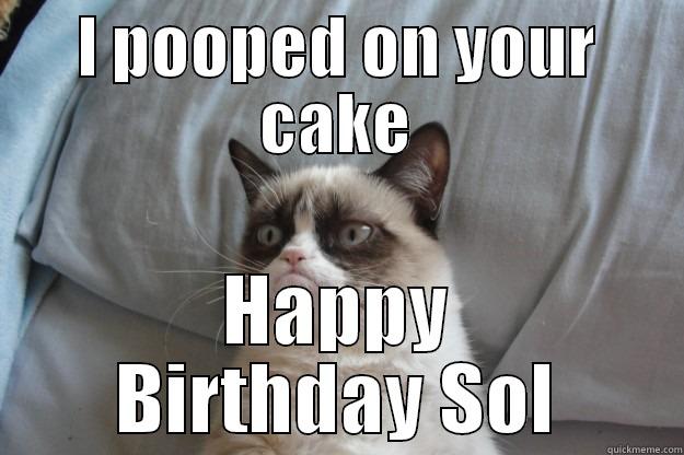 I POOPED ON YOUR CAKE HAPPY BIRTHDAY SOL Grumpy Cat