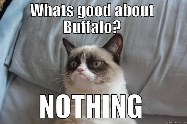 WHATS GOOD ABOUT BUFFALO? NOTHING Grumpy Cat