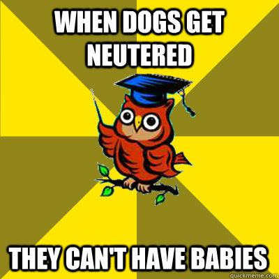 When dogs get neutered They can't have babies  Observational Owl