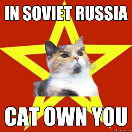 in soviet russia cat own YOU - in soviet russia cat own YOU  Lenin Cat