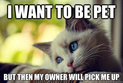 I want to be pet But then my owner will pick me up  First World Problems Cat