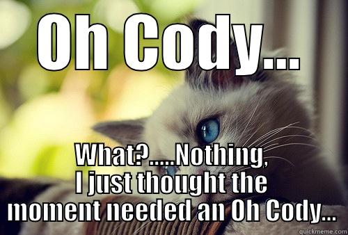 Oh Cody - OH CODY... WHAT?.....NOTHING, I JUST THOUGHT THE MOMENT NEEDED AN OH CODY... First World Problems Cat